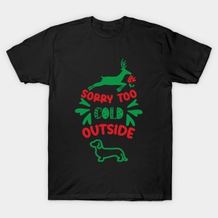 Sorry too Cold Outside T-Shirt